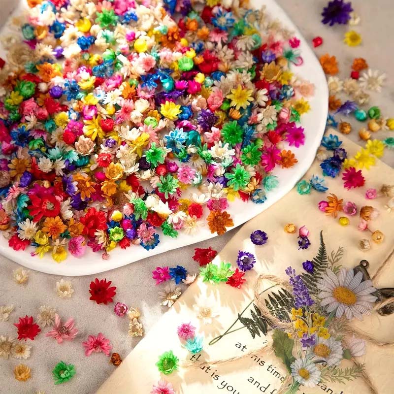 Смешанные красочные цветы для  – обзор и цена Candle Supplies Bulk